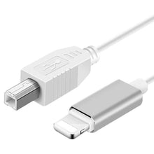 Load image into Gallery viewer, 1m 8 Pin to USB-B MIDI Cable for iPad / iPhone