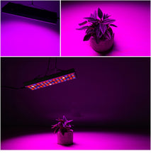 Load image into Gallery viewer, 25W 75LEDs Full Spectrum Plant Lighting Fitolampy For Plants Flowers Seedling Cultivation Growing Lamps LED Grow Light  AC85-265V, US, EU