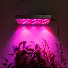 Load image into Gallery viewer, 25W 75LEDs Full Spectrum Plant Lighting Fitolampy For Plants Flowers Seedling Cultivation Growing Lamps LED Grow Light  AC85-265V, US, EU