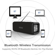 Load image into Gallery viewer, T9 Wireless Bluetooth 4.2 Speaker 10W Portable Sound Box FM Digital Radio 3D Surround Stereo, Support Handsfree &amp; TF &amp; AUX