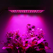 Load image into Gallery viewer, 45W 144LEDs Full Spectrum Plant Lighting Fitolampy For Plants Flowers Seedling Cultivation Growing Lamps LED Grow Light AC85-265V, US, EU, AU, UK