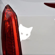 Load image into Gallery viewer, CAT FACE PEERING Pet Cat Car Sticker Decals , Size: 12x15cm, Black, WHITE