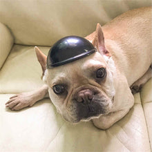 Load image into Gallery viewer, Pet Helmet Locomotive Lelmet Dog Cat Accessories, S, M