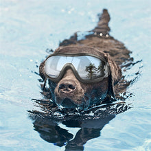 Load image into Gallery viewer, Pet Glasses Big Dog Goggles Waterproof Windproof Sunscreen UV Protection, Sunscreen UV Glasses