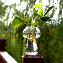 Load image into Gallery viewer, Mushroom Shaped Glass Vase Terrarium Bottle Container Flower Home Table Decoration