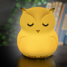 Load image into Gallery viewer, Cute owl cartoon colorful LED Lamp creative silicone night light childrens toy lamp bedroom decoration USB charging light