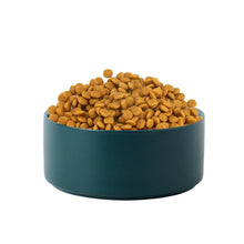 Load image into Gallery viewer, Cat Bowl Dog Pot Pet Ceramic Bowl, 13cm/400ml Single Bowl, 13cm/400ml Single Bowl With Wooden Stand, 13cm/400ml Double Bowl With Wooden Stand, 15.5cm/850ml Single Bowl, 15.5cm/850ml Single Bowl With Wooden Stand