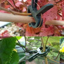 Load image into Gallery viewer, Plastic Plant Garden Clip Set, 5 Sets