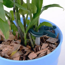 Load image into Gallery viewer, Plastic Plant Garden Clip Set, 5 Sets