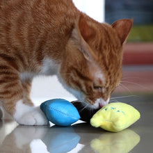 Load image into Gallery viewer, 2 PCS Teeth Grinding Catnip Toys Funny Interactive Plush Cat Toy Pet Kitten Chewing Toy  Claws Thumb Bite Cat mint for Cats