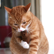 Load image into Gallery viewer, 2 PCS Teeth Grinding Catnip Toys Funny Interactive Plush Cat Toy Pet Kitten Chewing Toy  Claws Thumb Bite Cat mint for Cats