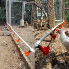 Load image into Gallery viewer, Adjustable Vreeding Equipment Export Type Drinking Bowl Poultry Drinker, Drinking Bowl Poultry Drinker