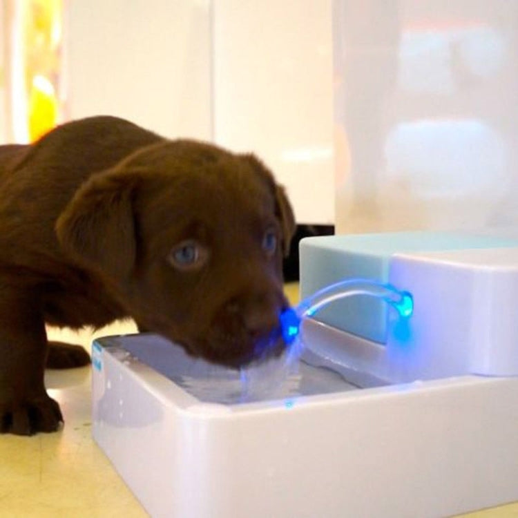 Pet aAutomatic Water Dispenser Cat Teddy Dog General Circulation Dog Feeder, US, EU, UK, AU