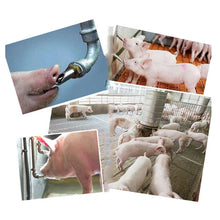Load image into Gallery viewer, Duckbill Drinking Fountain Stainless Steel with Copper Cap Oblique Pig Mouth Livestock Machinery Pig Raising Equipment, Duckbill Drinking Fountain