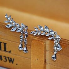 Load image into Gallery viewer, Women Tassel Wing Style Drop Earrings Fashion Cubic Jewelry, Golden color, Silver color