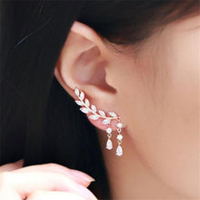 Load image into Gallery viewer, Women Tassel Wing Style Drop Earrings Fashion Cubic Jewelry, Golden color, Silver color