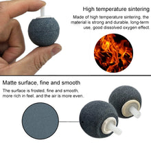 Load image into Gallery viewer, Aquarium Oxygen Bubble Stone Gas Plate Oxygenation Head Sand Table Oxygen Disk Gas Stone, 20 PCS 3cm Bubble Stone, 5 PCS 4cm Bubble Tray, 3 PCS 6cm Bubble Tray, 2 PCS 8cm Bubble Tray, 2 PCS 10cm Bubble Tray, 13cm Bubble Tray                            ...