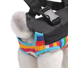 Load image into Gallery viewer, Traveling Portable Pet Chest Backpack Pet Carrier Bag, S, M, L, XL