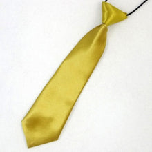 Load image into Gallery viewer, Solid Color Casual Rubber Band Lazy Tie for Children, White, Black, Orange, Wine red, Pink, Blue, Rose Red, Fluorescent Green, Dark Grey, Navy Blue, Dark Purple, Red, Champagne, Silver, Purple, Yellow, Light Navy, ArmyGreen, Lake Blue, Light Champagne ...