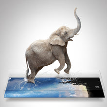 Load image into Gallery viewer, High Quality Tempered Glass For Doogee Y8 Screen Protector protective film For Doogee Y8