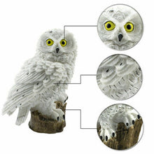 Load image into Gallery viewer, Solar Powered Owl Shape LED Night Light Garden Lawn Lamp, White, Brown