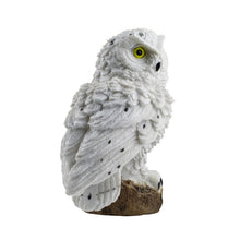 Load image into Gallery viewer, Solar Powered Owl Shape LED Night Light Garden Lawn Lamp, White, Brown
