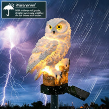 Load image into Gallery viewer, Solar Powered Owl Shape LED Night Light Garden Lawn Lamp, White, Brown