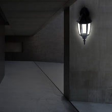 Load image into Gallery viewer, Vintage Acrylic IP67 Waterproof Courtyard Landscape Lights Hallway Lighting Wall Light without Light Source, 205x375mm, 197x390mm