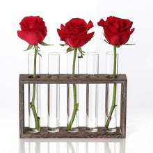 Load image into Gallery viewer, Creative Simple Coffee Shop Interior Desktop Decoration Decoration Transparent Hydroponic Glass Test Tube Vase, 3-Hole Wooden Frame, 5-Hole Wooden Frame