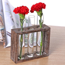 Load image into Gallery viewer, Creative Simple Coffee Shop Interior Desktop Decoration Decoration Transparent Hydroponic Glass Test Tube Vase, 3-Hole Wooden Frame, 5-Hole Wooden Frame