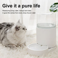 Load image into Gallery viewer, Cat Automatic Water Dispenser Drinking Water Bowl Dog Feeder, Drinking Fountain, Feeder, Drinking Fountain + Feeder