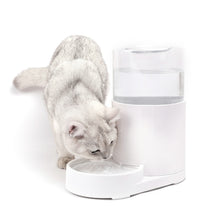 Load image into Gallery viewer, Cat Automatic Water Dispenser Drinking Water Bowl Dog Feeder, Drinking Fountain, Feeder, Drinking Fountain + Feeder