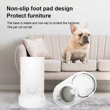 Load image into Gallery viewer, Cat Automatic Water Dispenser Drinking Water Bowl Dog Feeder, Drinking Fountain, Feeder, Drinking Fountain + Feeder