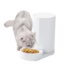 Load image into Gallery viewer, Cat Automatic Water Dispenser Drinking Water Bowl Dog Feeder, Drinking Fountain, Feeder, Drinking Fountain + Feeder