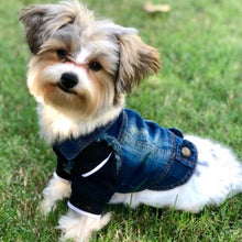 Load image into Gallery viewer, Retro Personality Denim Small Vest Pet Dog Clothes Pet Jacket, S, M, L, XL, XXL, XS