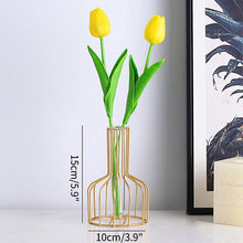 Load image into Gallery viewer, Wrought Iron Hydroponic Green Dried Flower Glass Flower Insert Decoration Without  Fake Flowers