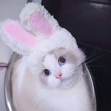 Load image into Gallery viewer, Lovely Rabbit Ear Cat Pet Headgear Headwear, Lovely Rabbit Ear Headgear