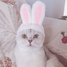 Load image into Gallery viewer, Lovely Rabbit Ear Cat Pet Headgear Headwear, Lovely Rabbit Ear Headgear