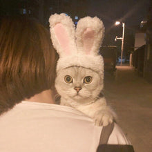 Load image into Gallery viewer, Lovely Rabbit Ear Cat Pet Headgear Headwear, Lovely Rabbit Ear Headgear