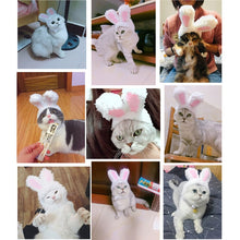 Load image into Gallery viewer, Lovely Rabbit Ear Cat Pet Headgear Headwear, Lovely Rabbit Ear Headgear