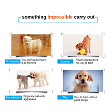 Load image into Gallery viewer, Dog Toy Bite Wear-resistant Vocal Molars Pet Plush Medium Large Supplies, Small, Large