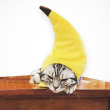 Load image into Gallery viewer, Creative Turned Funny Pet Cat Teddy Festival Funny Banana Headgear, Banana Headgear