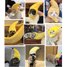 Load image into Gallery viewer, Creative Turned Funny Pet Cat Teddy Festival Funny Banana Headgear, Banana Headgear