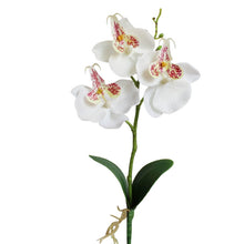 Load image into Gallery viewer, Decorative Landscaping Round Pot Three Flowers Phalaenopsis Bonsai Simulation Potted Plants