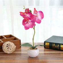 Load image into Gallery viewer, Decorative Landscaping Round Pot Three Flowers Phalaenopsis Bonsai Simulation Potted Plants
