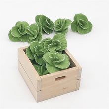 Load image into Gallery viewer, 5 PCS 1:12  Mini House Toy Vegetable Simulation Cabbage Kitchen Accessory Mini House Toy