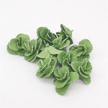 Load image into Gallery viewer, 5 PCS 1:12  Mini House Toy Vegetable Simulation Cabbage Kitchen Accessory Mini House Toy