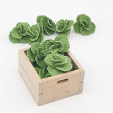 5 PCS 1:12  Mini House Toy Vegetable Simulation Cabbage Kitchen Accessory Mini House Toy