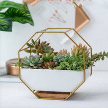 Load image into Gallery viewer, Simple Octagonal Geometric Wall Hanging Table Succulent Platter Bamboo Support Iron Frame Flower Pot