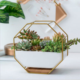 Simple Octagonal Geometric Wall Hanging Table Succulent Platter Bamboo Support Iron Frame Flower Pot
